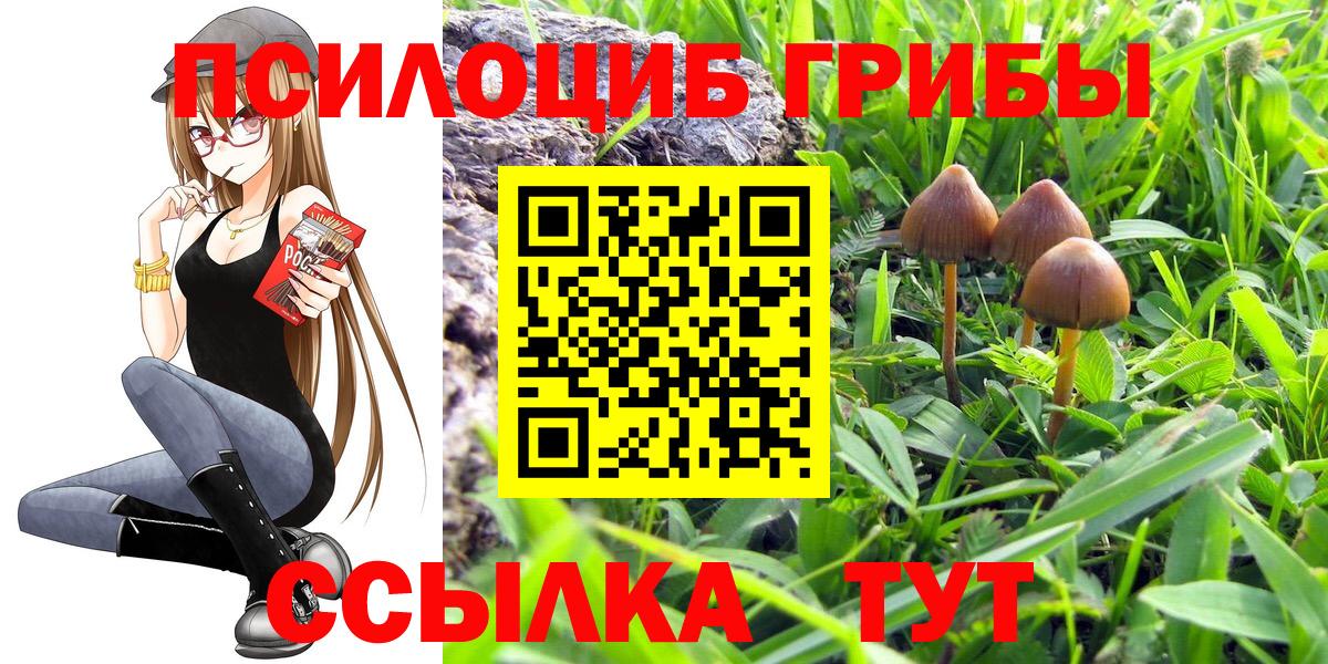 магазин    Галлюциногенные грибы GOLDEN TEACHER  Моршанск  Вход с VPN  Псилоцибиновые грибы ЛСД 