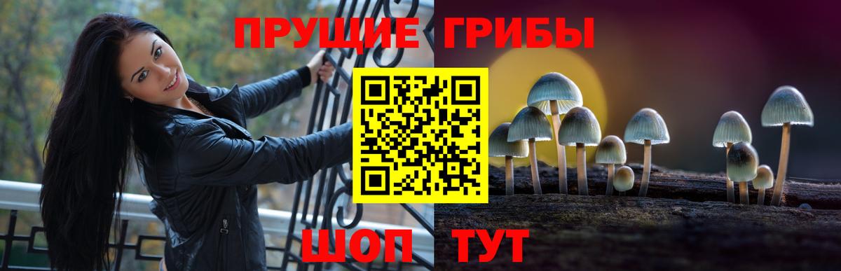 Галлюциногенные грибы Magic Shrooms Моршанск